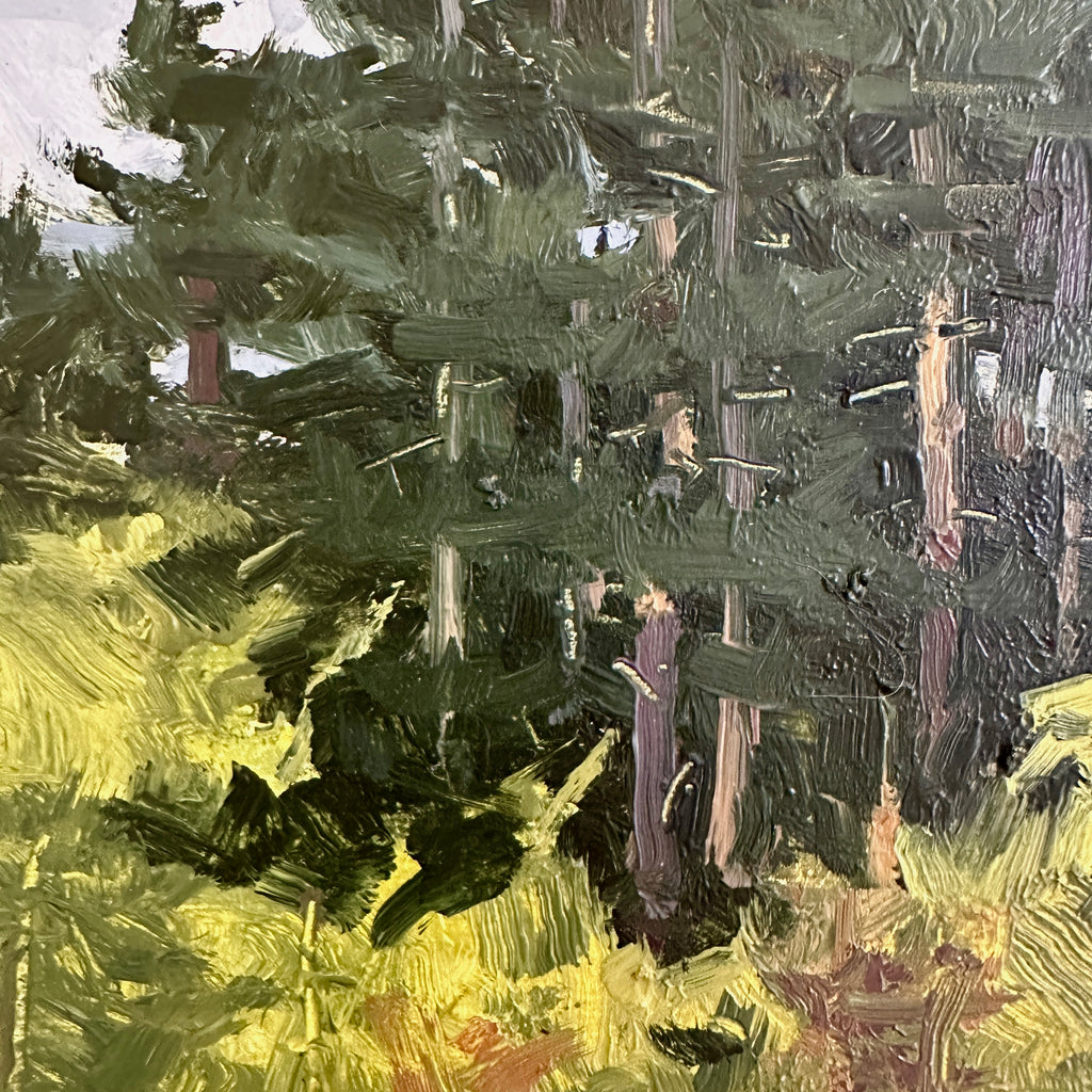 Pines Up Close by Jared Clackner