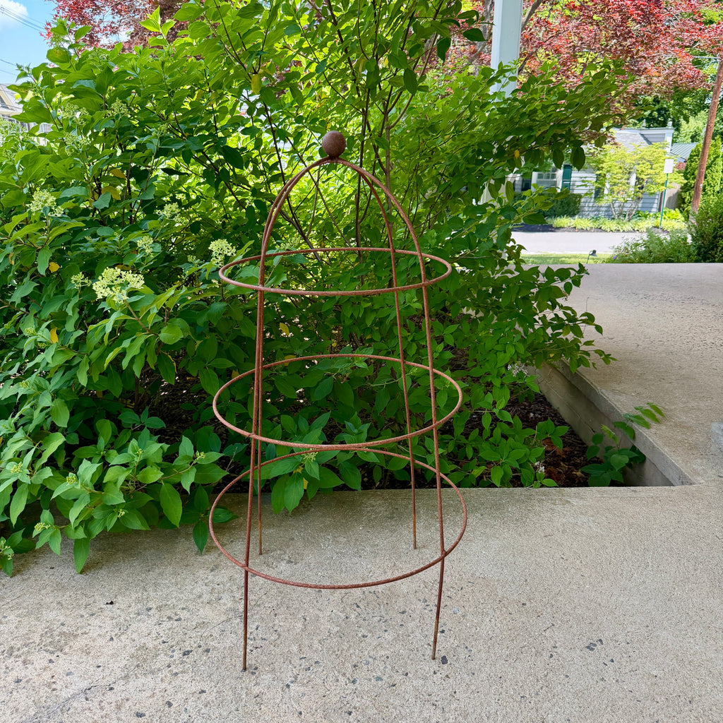 English Iron Plant Cage w/Ball Finial