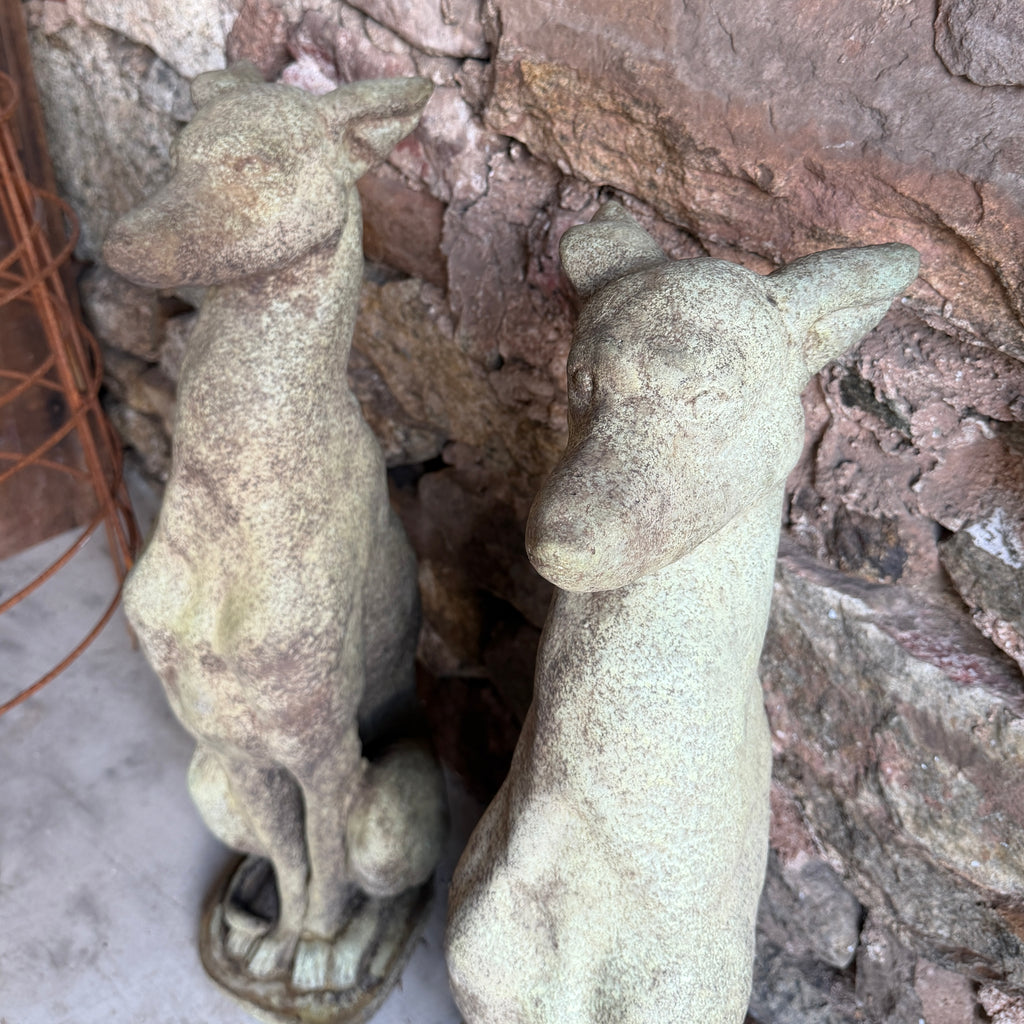Pair of Large Sitting Whippets