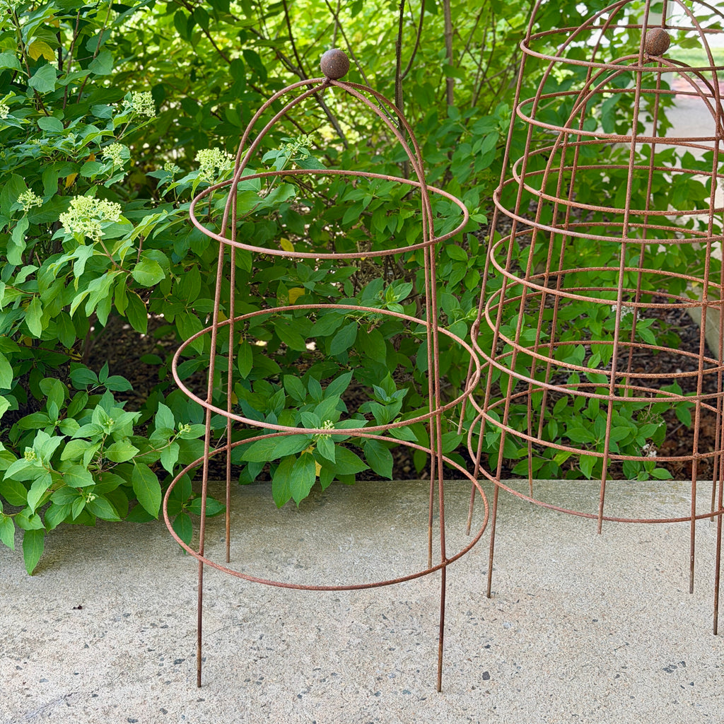 English Iron Plant Cage w/Ball Finial