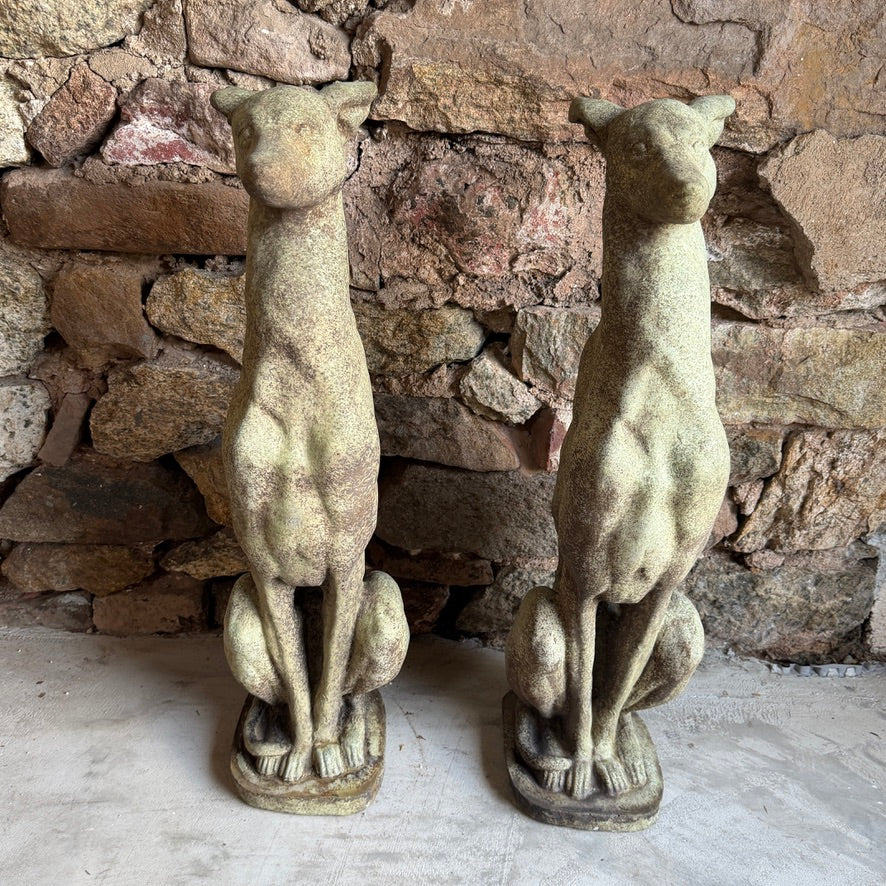 Pair of Large Sitting Whippets