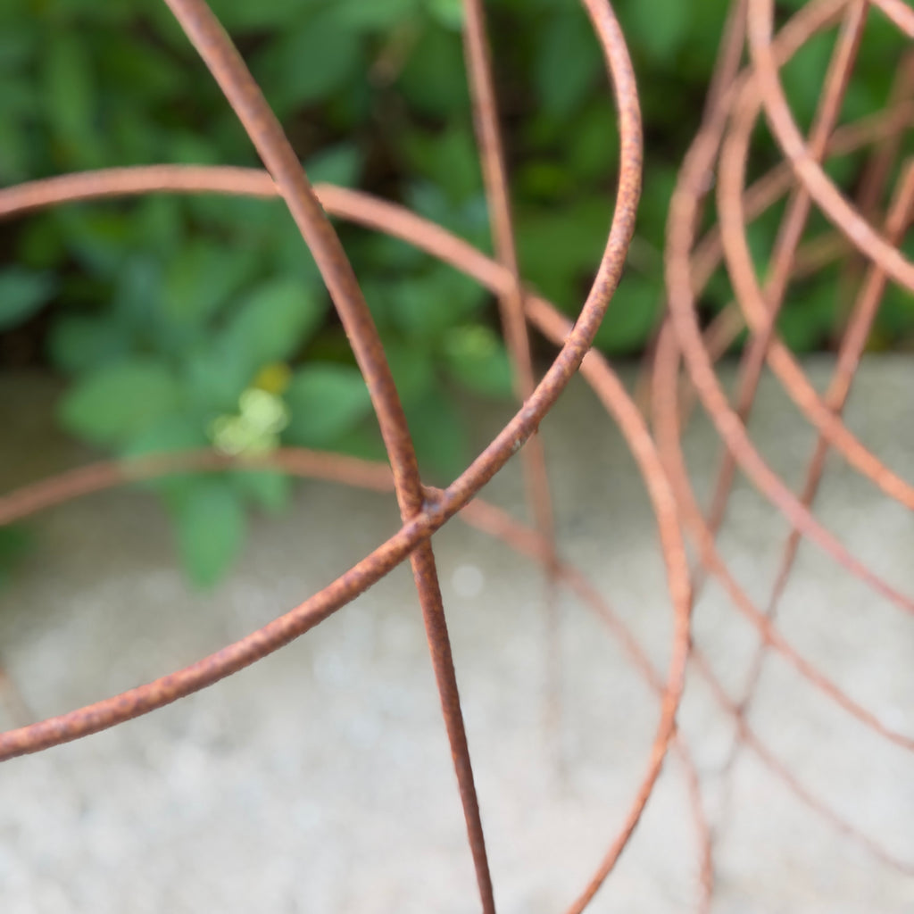 English Iron Plant Cage w/Ball Finial
