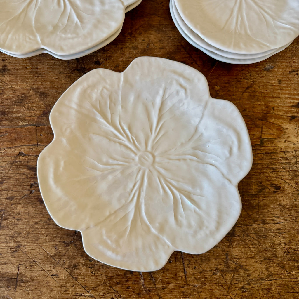 Cream Cabbage Dinner Plate