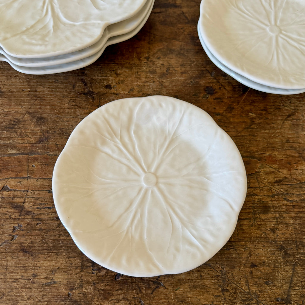 Cream Cabbage Dessert Plate