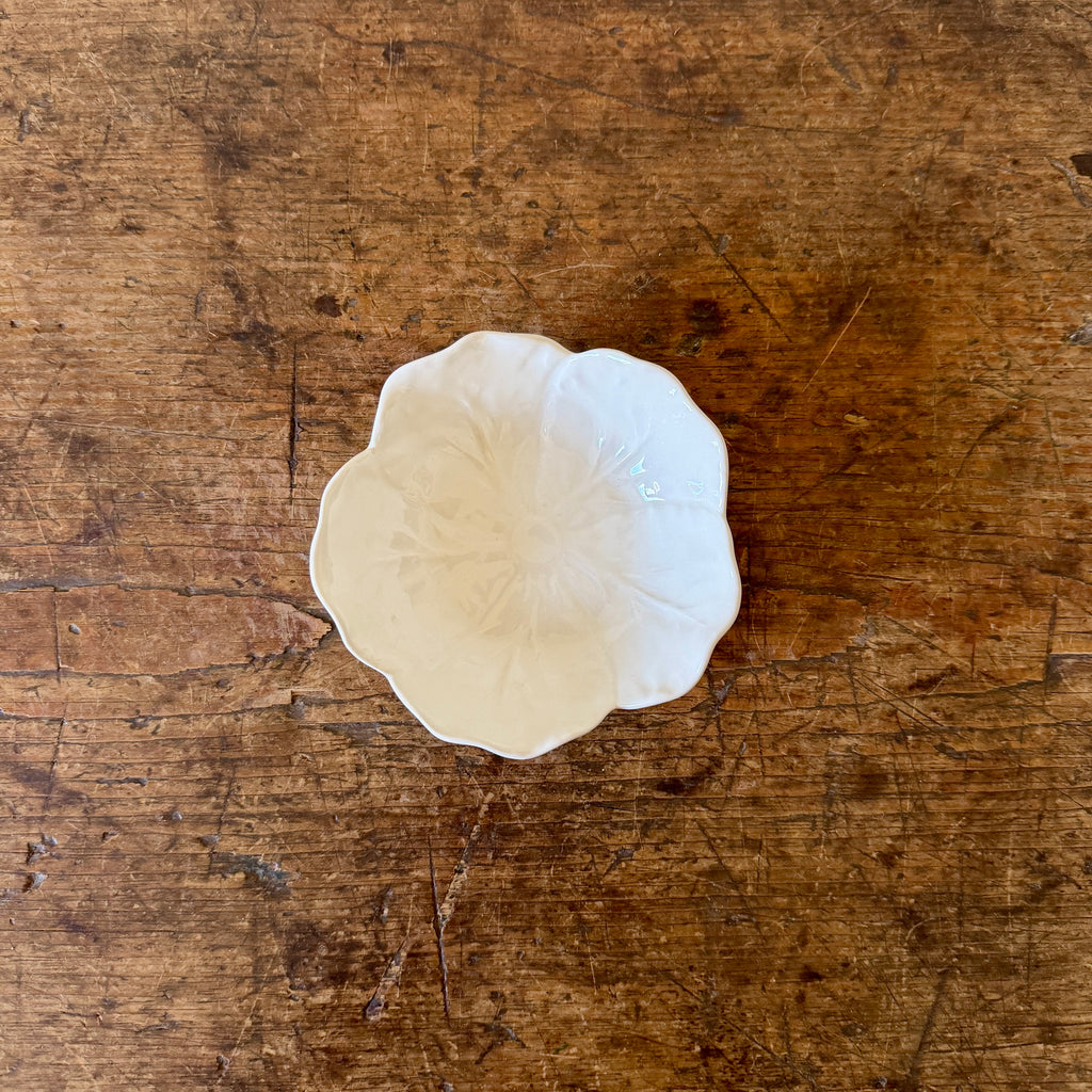 Cream  Cabbage Mini Bowl