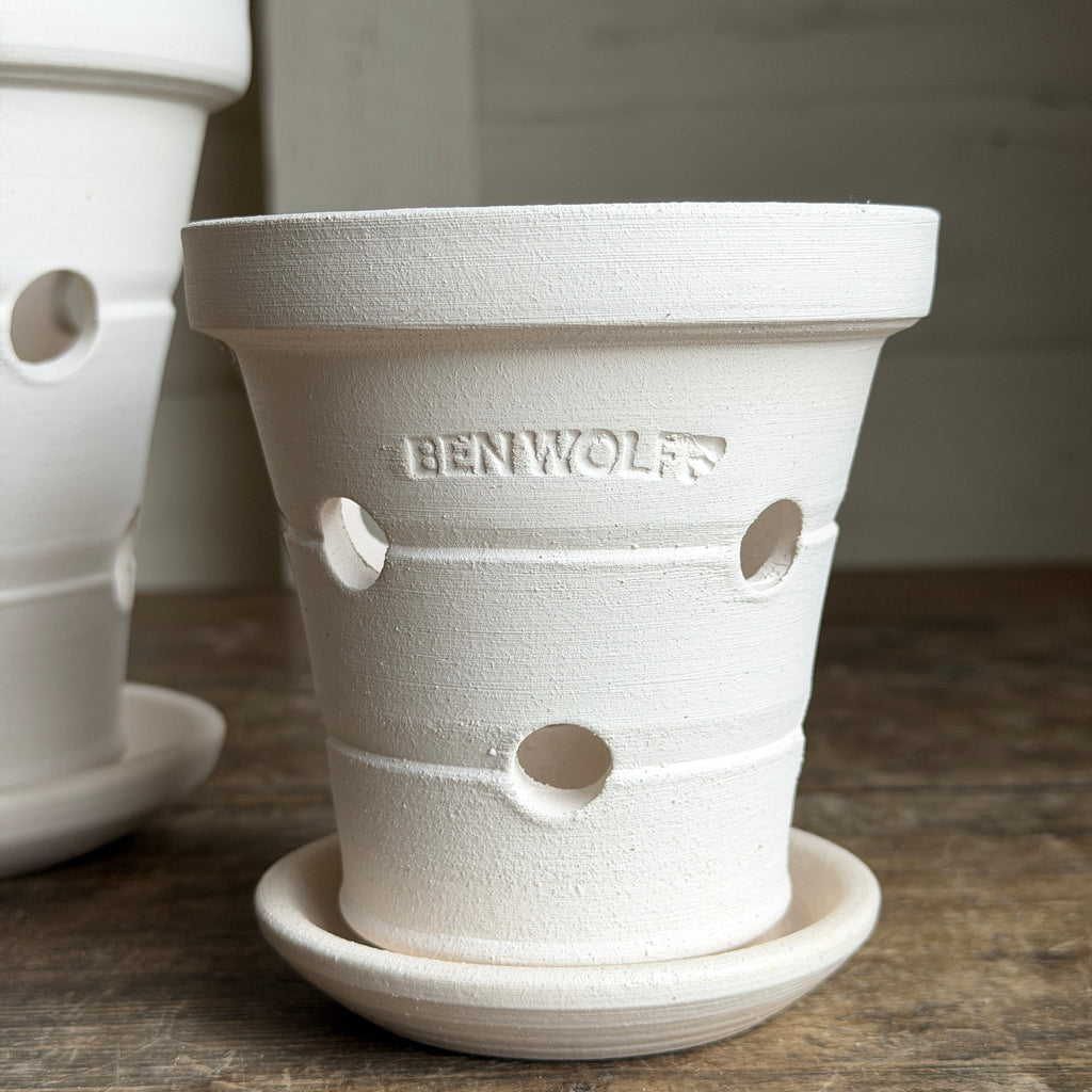 Orchid White Pots + Saucers by Ben Wolff