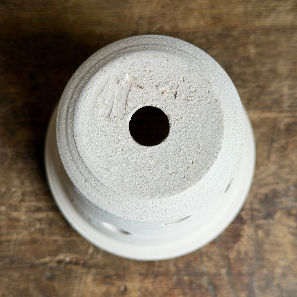 Orchid White Pots + Saucers by Ben Wolff
