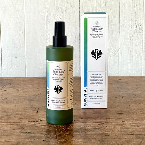 House Plant Aqua Leaf Cleanser