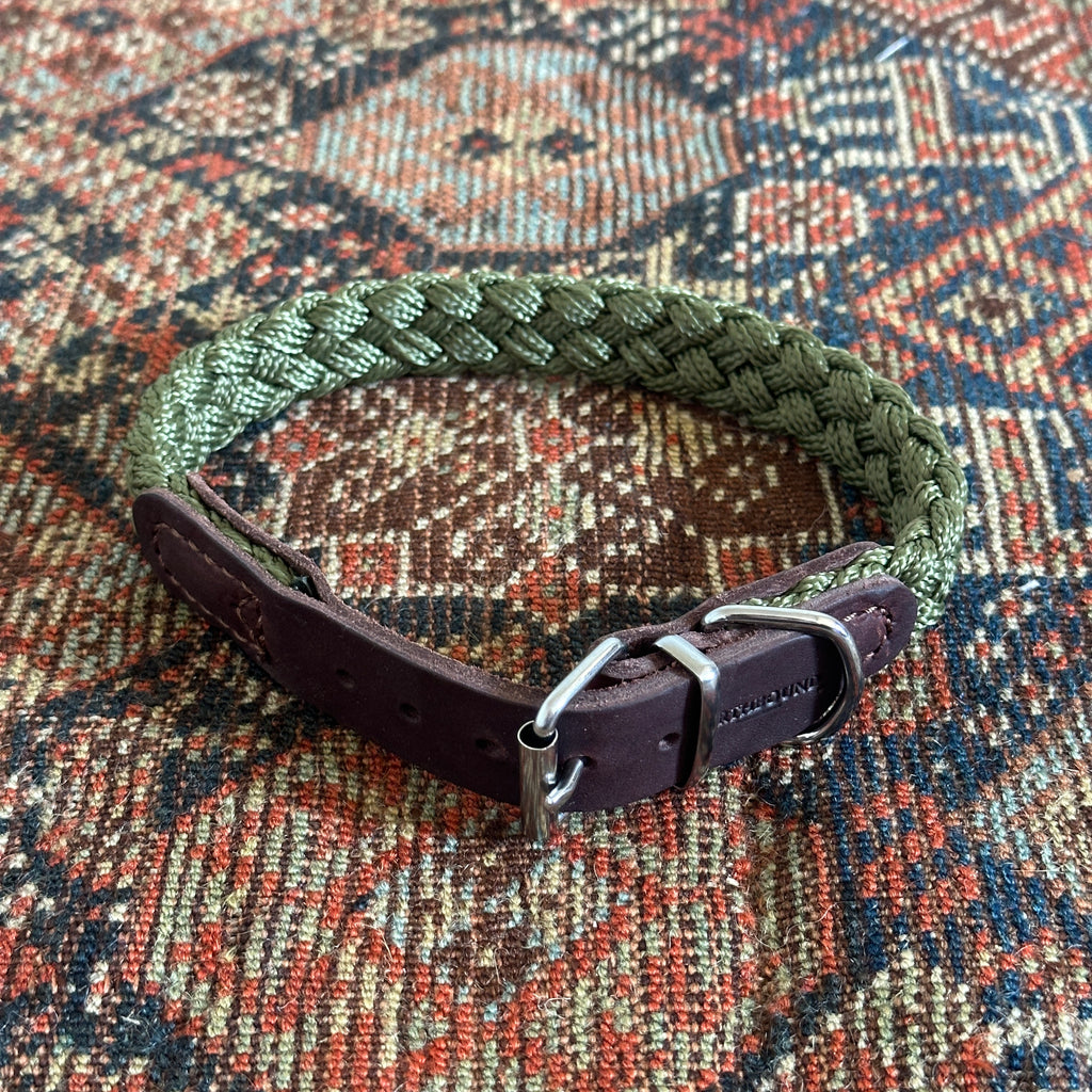 Green Braided Nylon and Leather Dog Collar