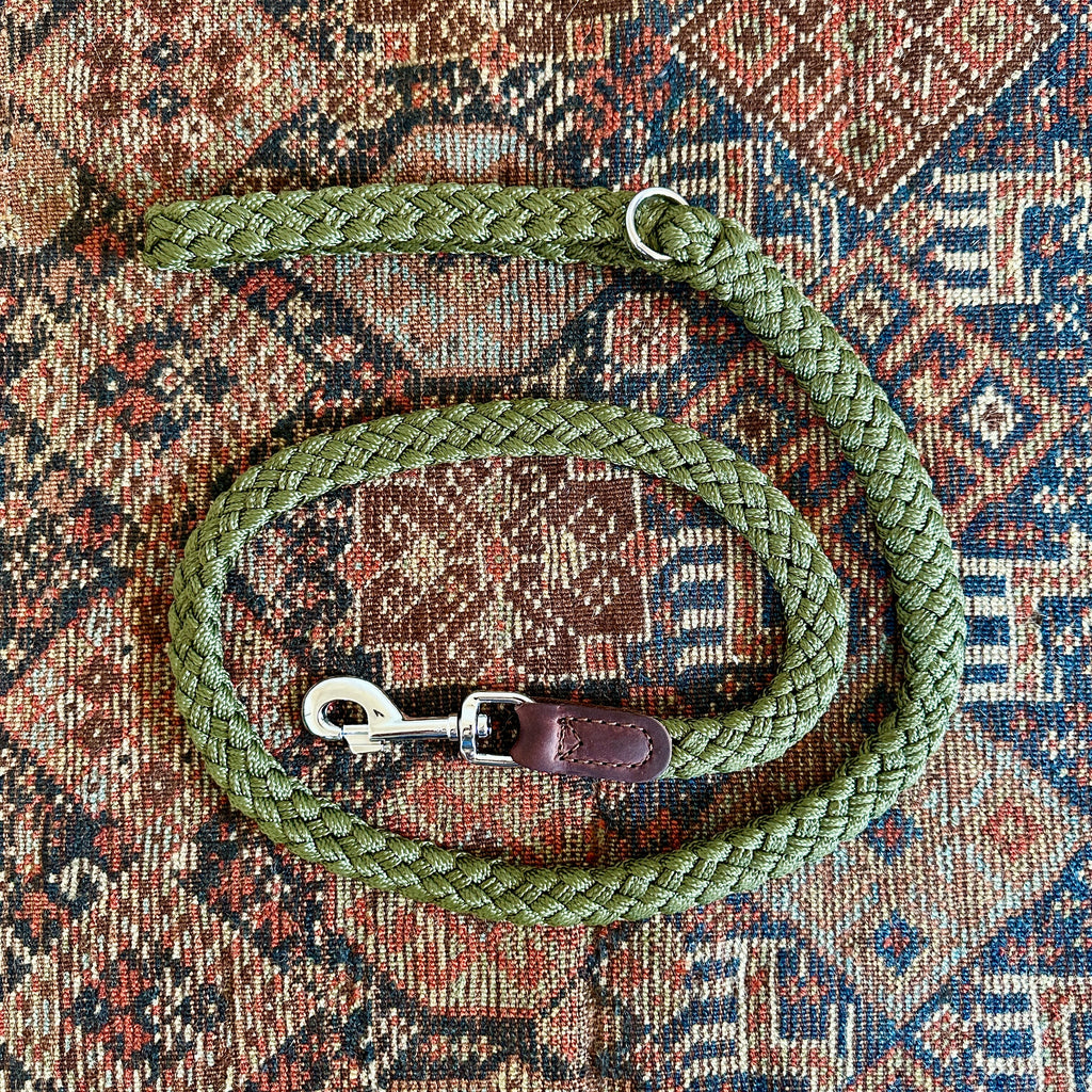 Green Braided Nylon and Leather Dog Lead