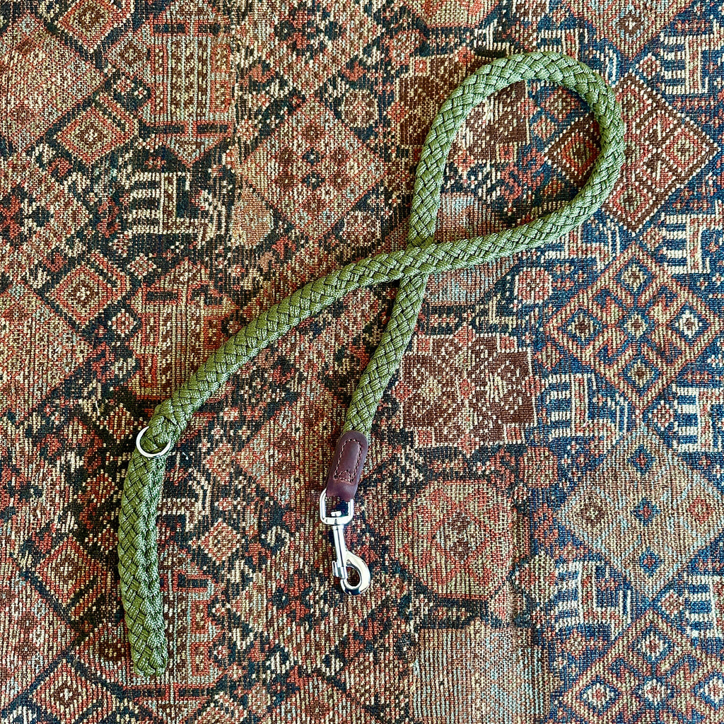 Green Braided Nylon and Leather Dog Lead