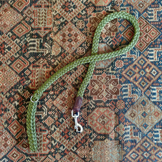Green Braided Nylon and Leather Dog Lead