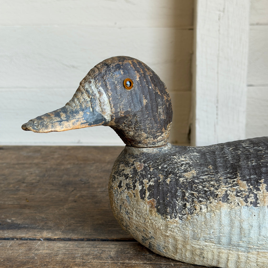 Antique Chesapeake Bay Duck Decoy