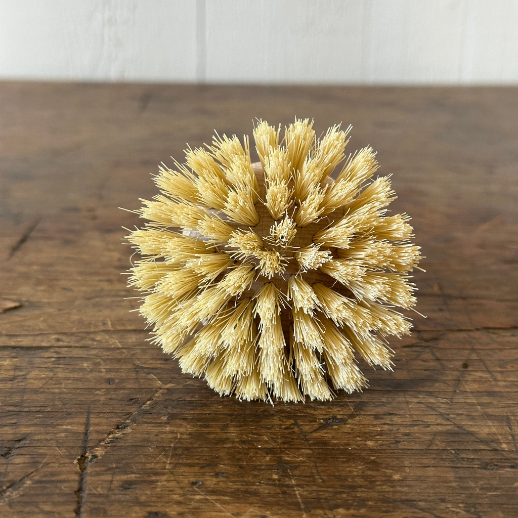 White Bristle Pot Brush