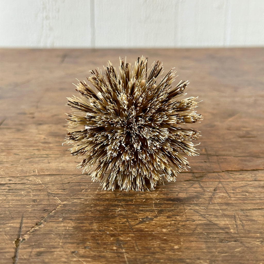 Pot Brush