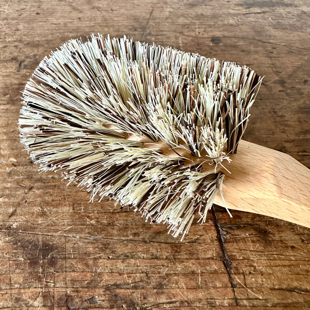 Handled Dish Brush with Stiff Bristles