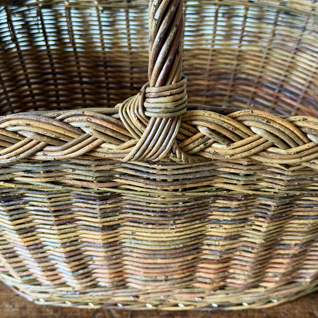 Oval Garden Basket with Plaited Border - Green