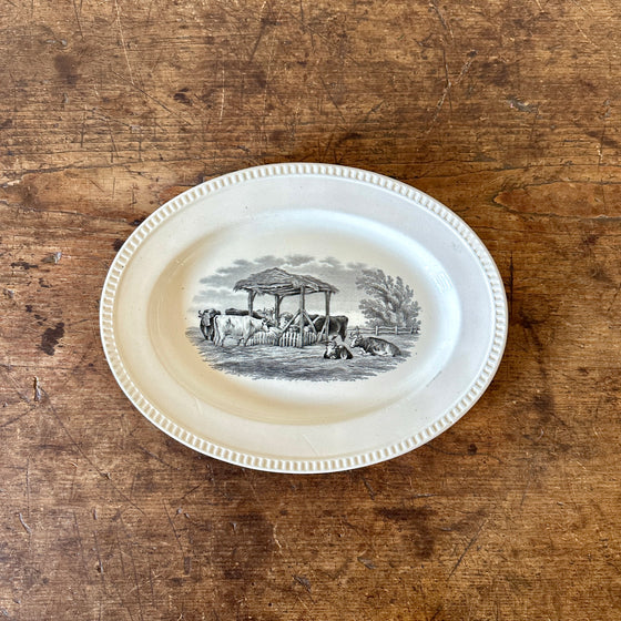 Oval Transferware Platter with Cows - 11.25"