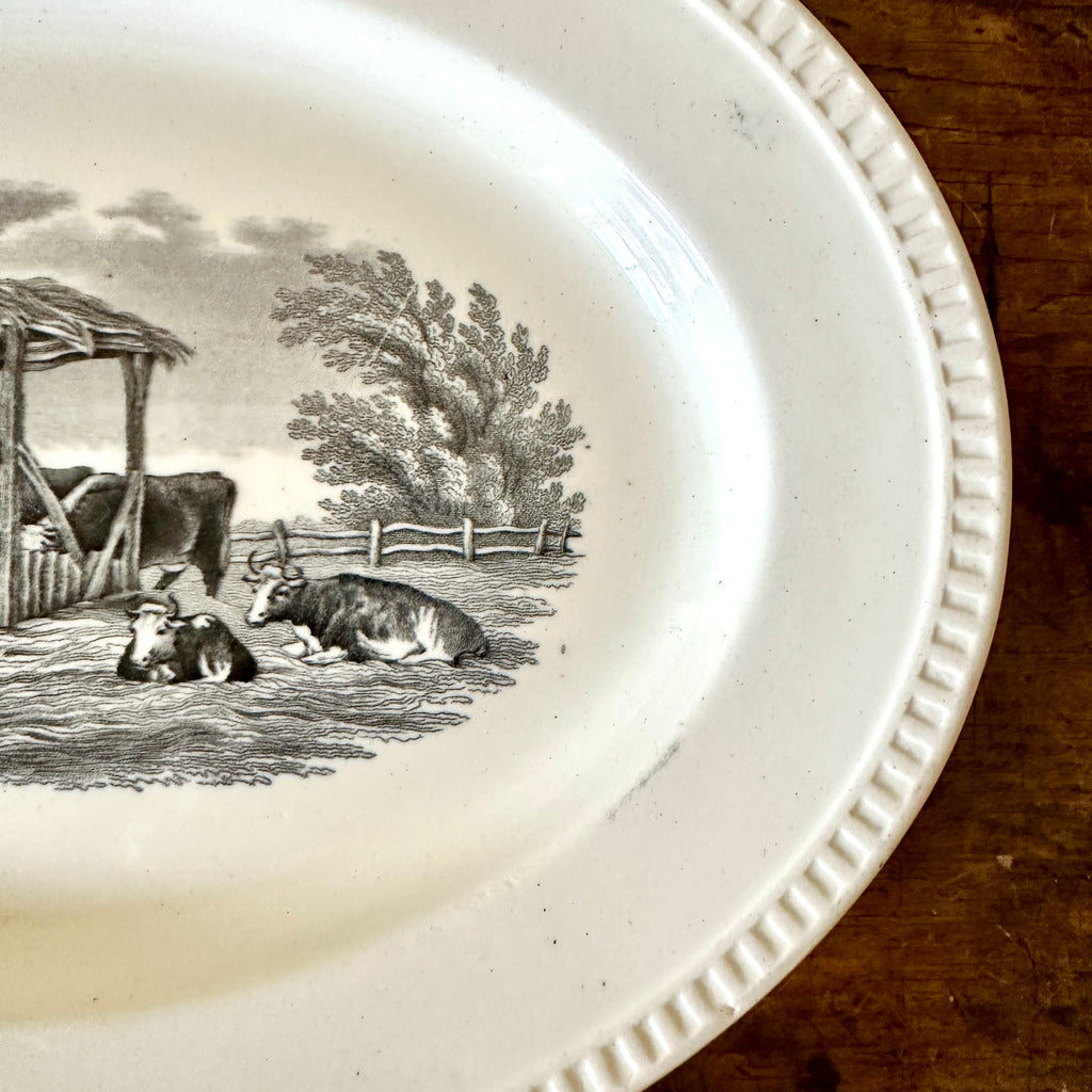 Oval Transferware Platter with Cows - 11.25"