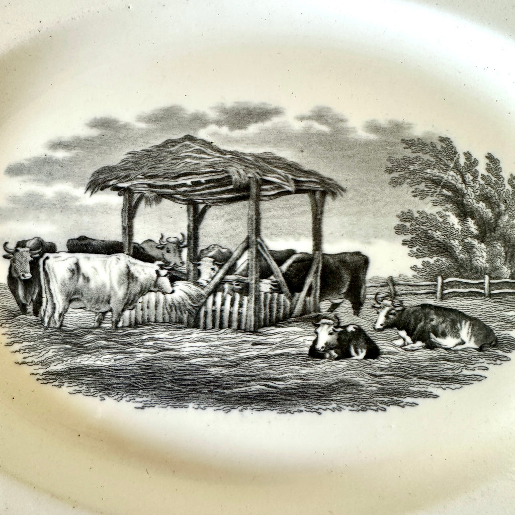 Oval Transferware Platter with Cows - 11.25"