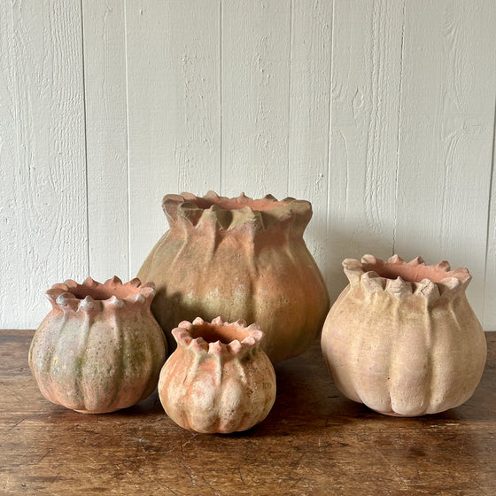 Aged Poppy Pots