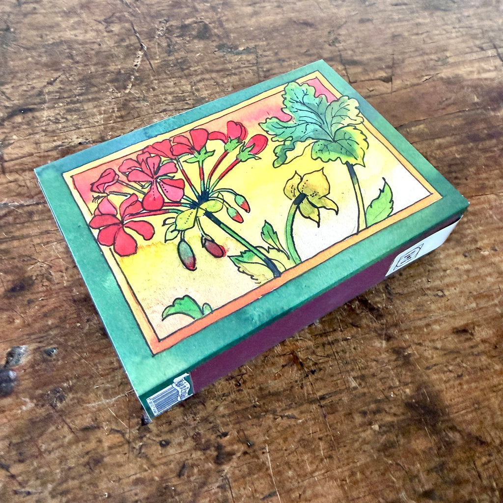 Pelargoniums Matchbox