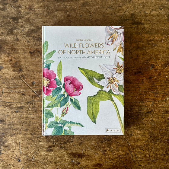 Wild Flowers of North America: Botanical Illustrations by Mary Vaux Walcott