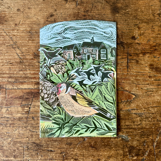 Garden Birds - Angela Harding
