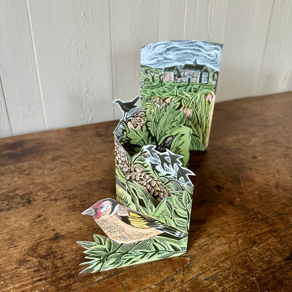 Garden Birds - Angela Harding