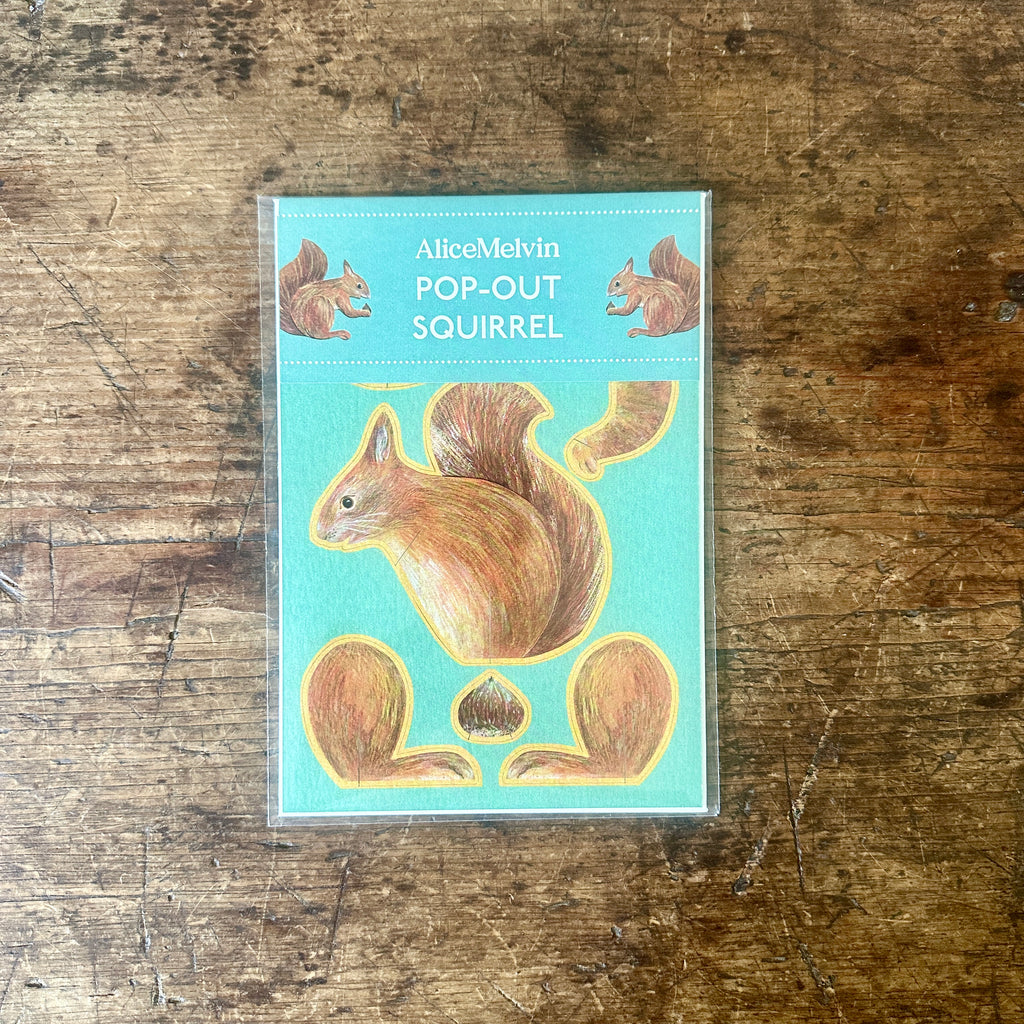 Red Squirrel Pop Out Card