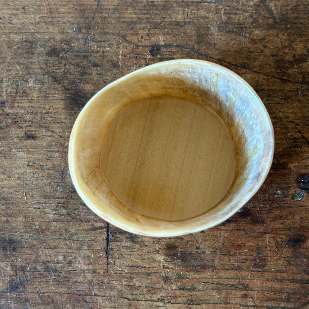 White Horn Storage Pot