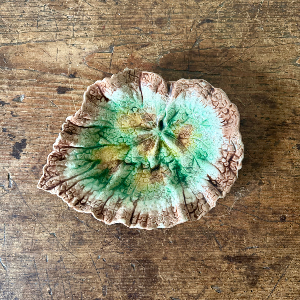 Majolica Begonia Leaf Dish