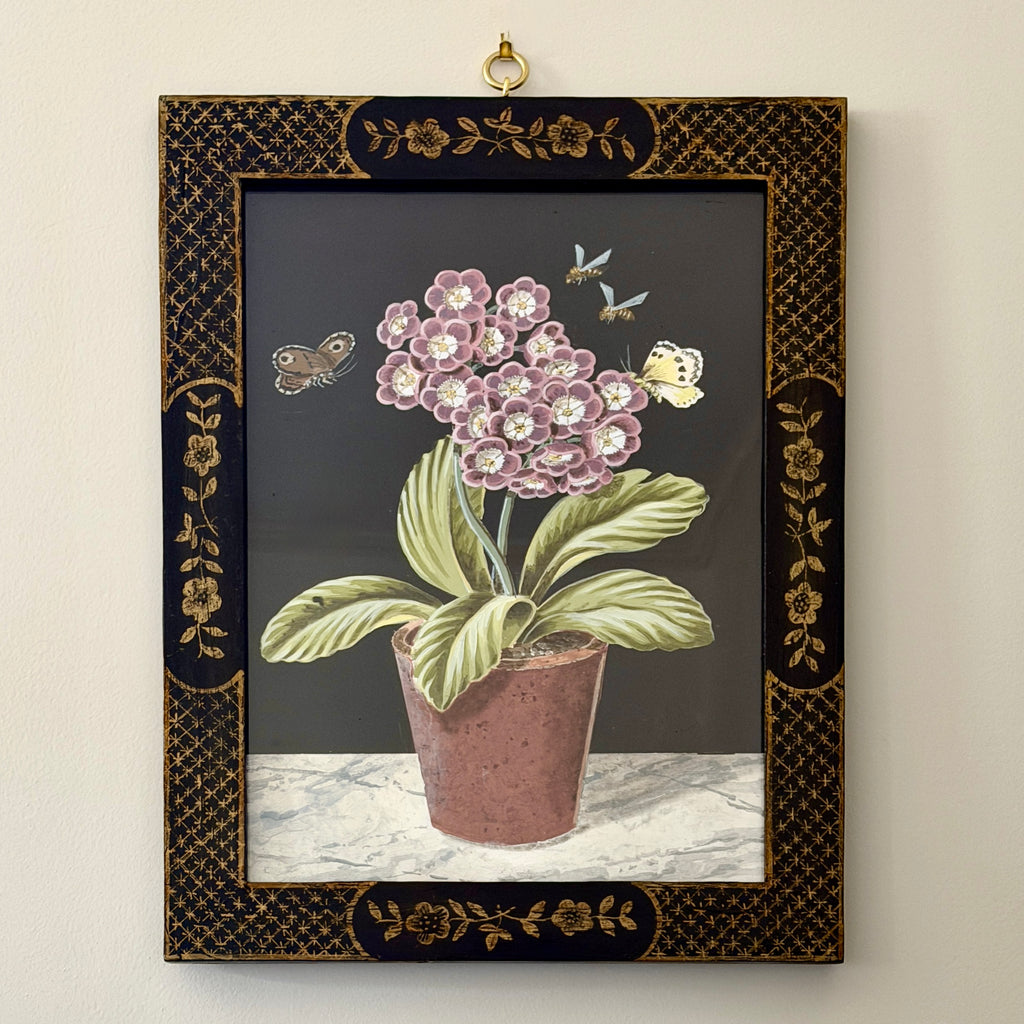 Mauve Auricula Plant in Bloom by William Totten