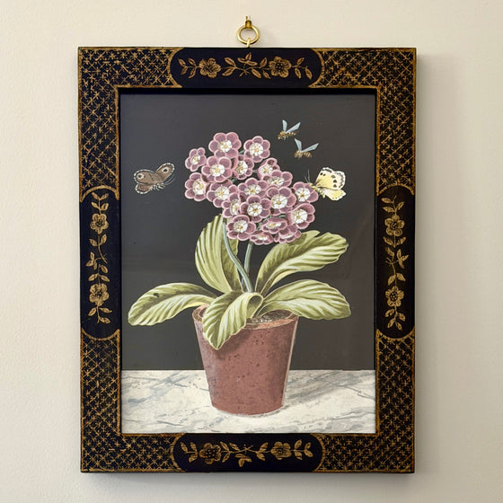 Mauve Auricula Plant in Bloom by William Totten