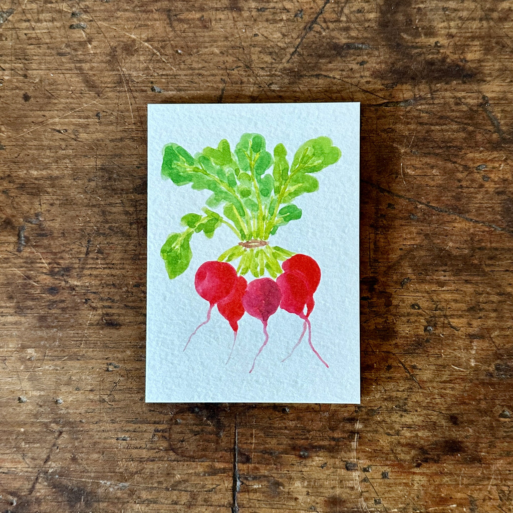 Pink Radishes Note Card