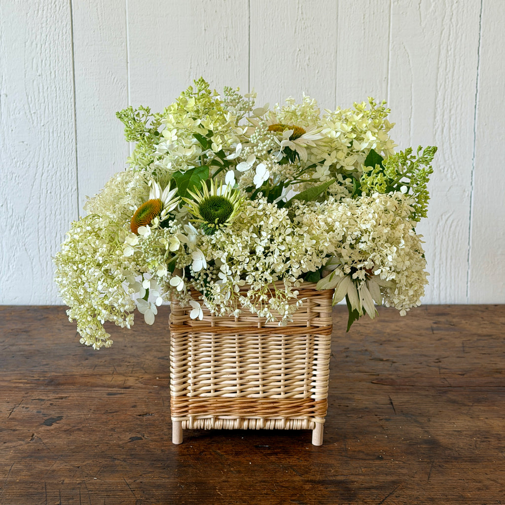 French Wicker Cachepot with Contrast Band