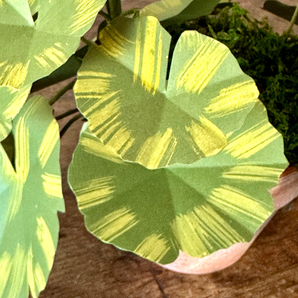 Medium Red Paper Geranium in Aged Pot