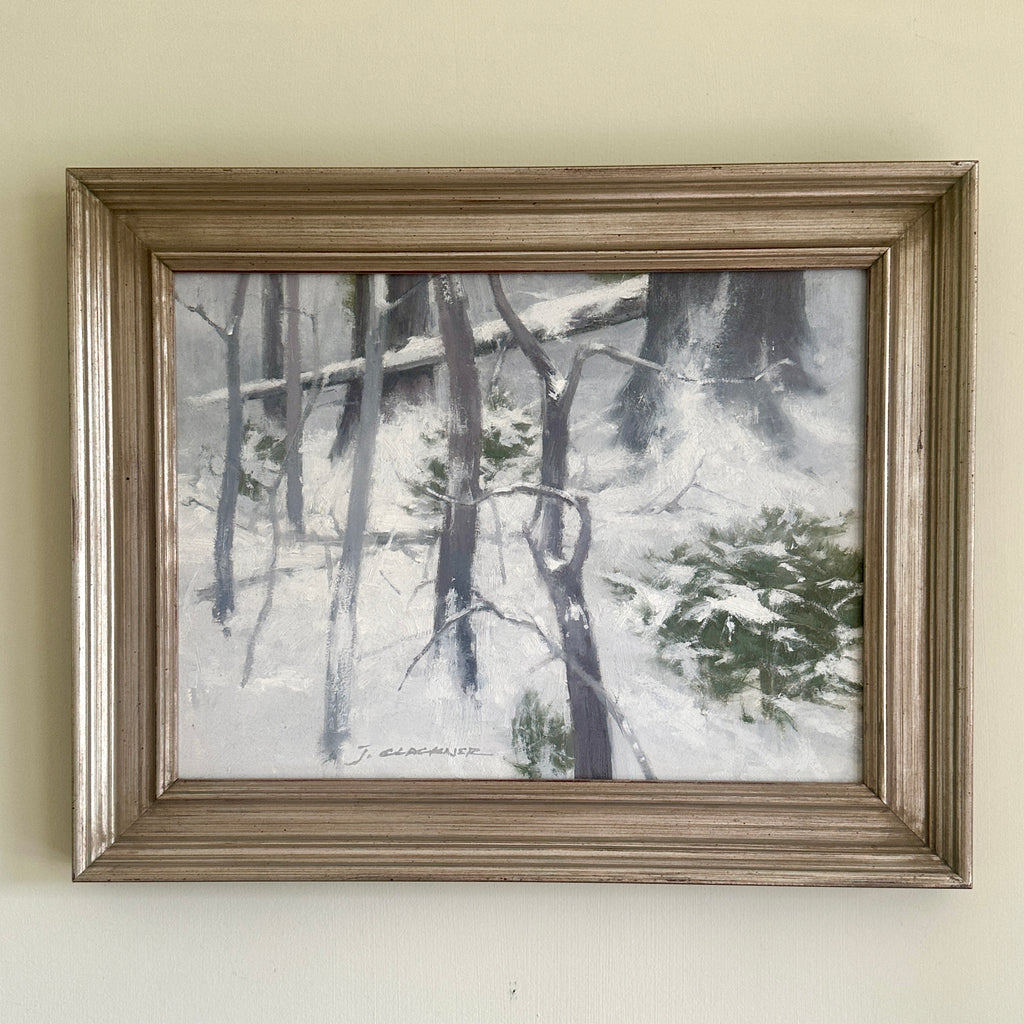 Fresh Snow in the Woods