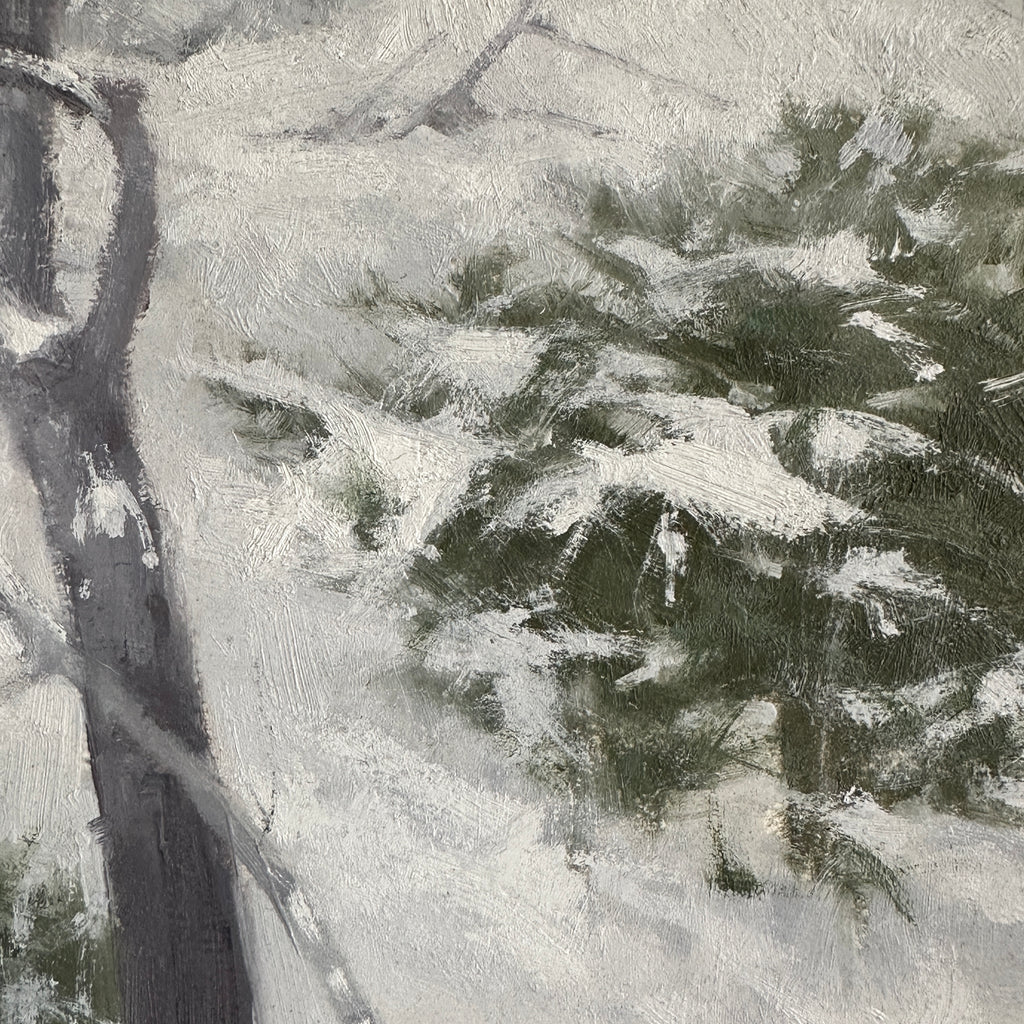 Fresh Snow in the Woods