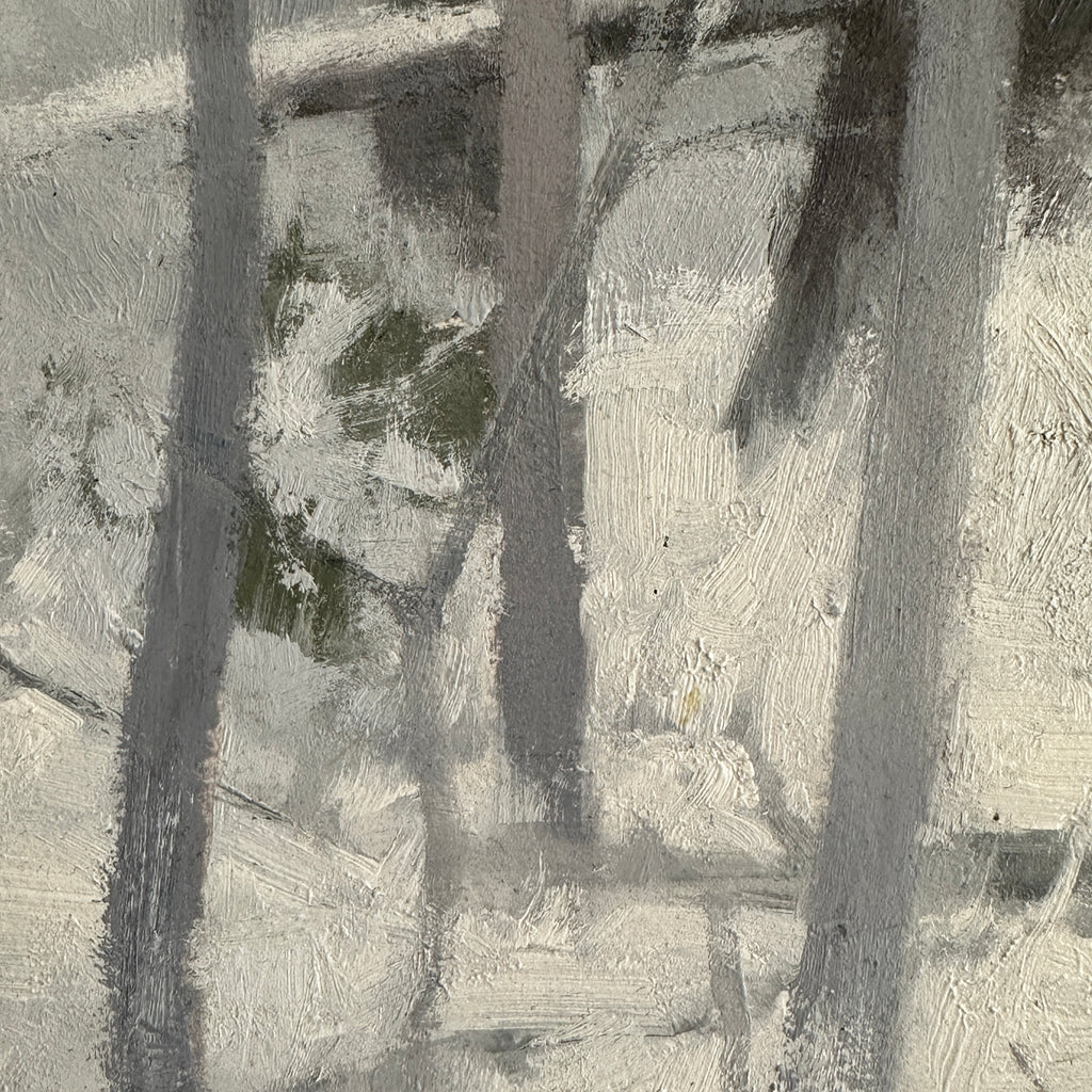 Fresh Snow in the Woods