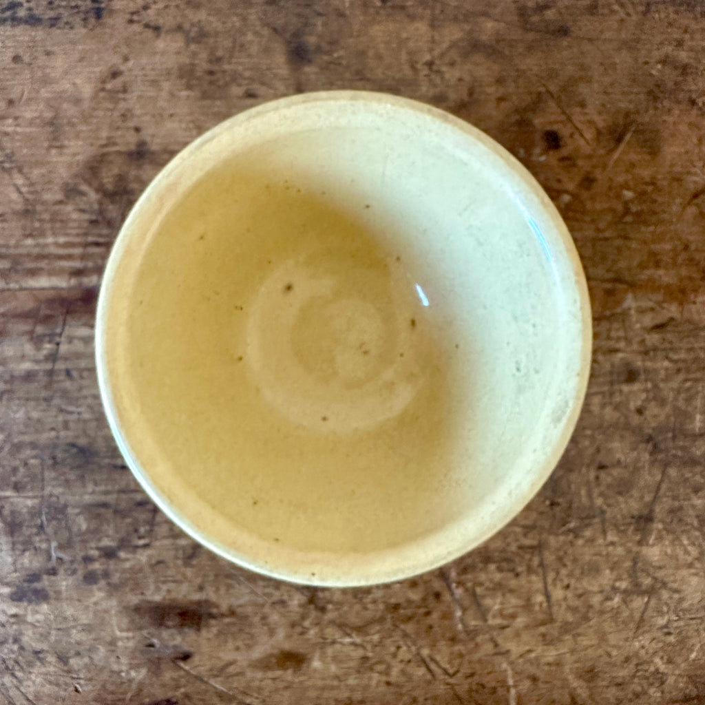 19th C Blue Seaweed Yellow Ware Bowl