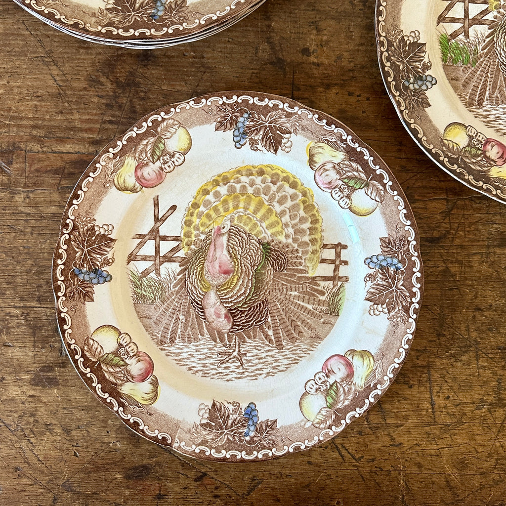 American Ironstone Turkey Plates - Set of 6