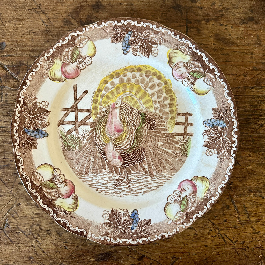 American Ironstone Turkey Plates - Set of 6