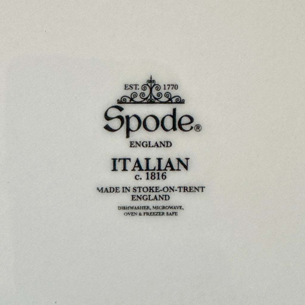 Green Italian Dinner Plate