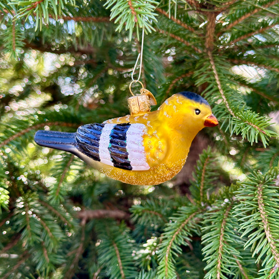 American Goldfinch Christmas Ornament