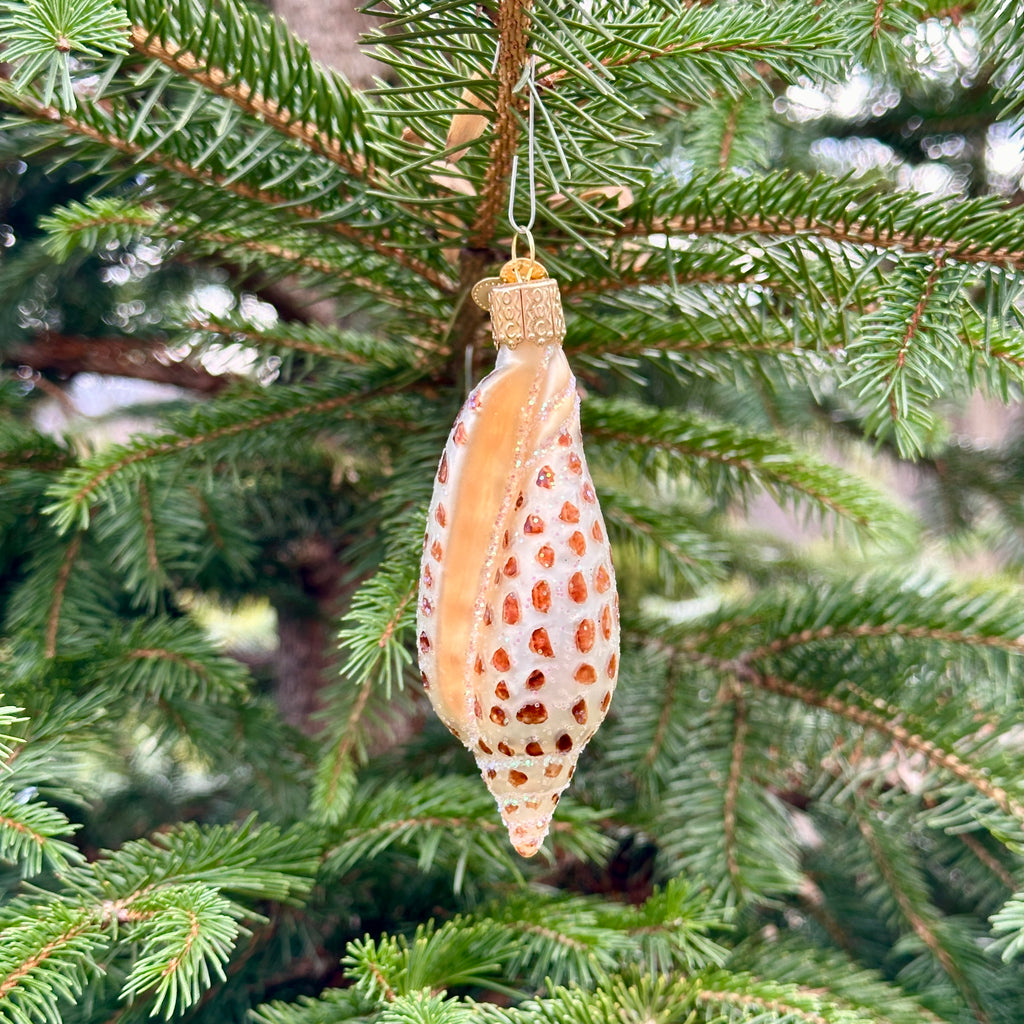 Junonia Shell Christmas Ornament