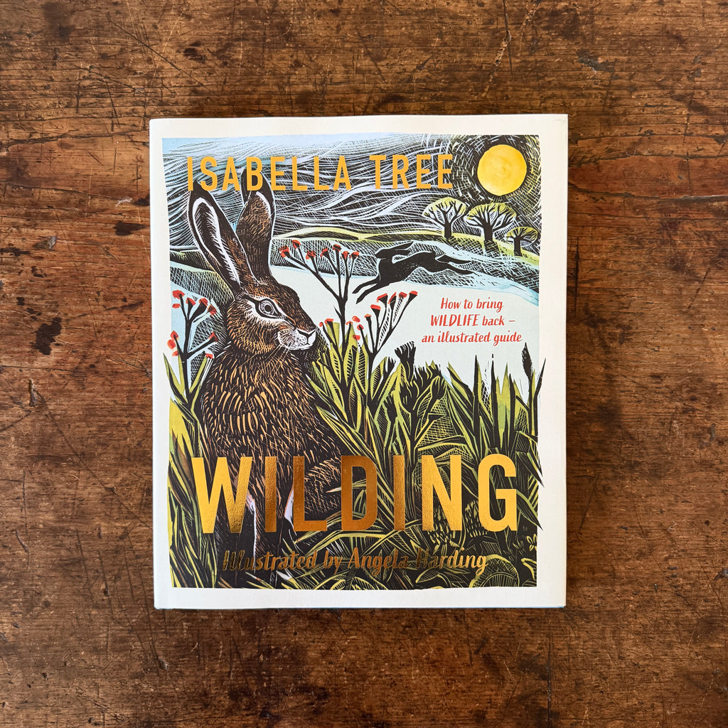 Wilding: How to Bring Wildlife Back