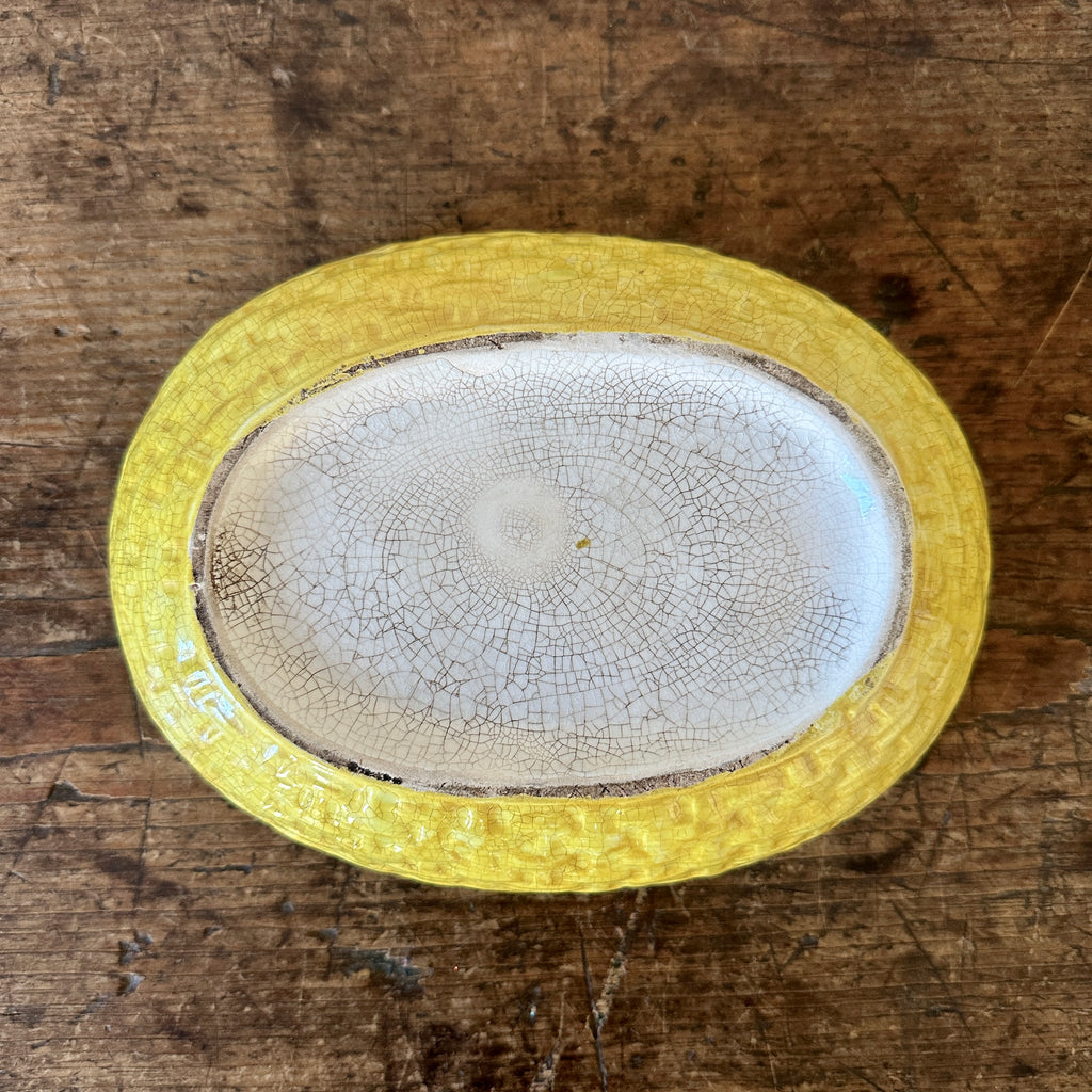 Staffordshire Hen on Nest