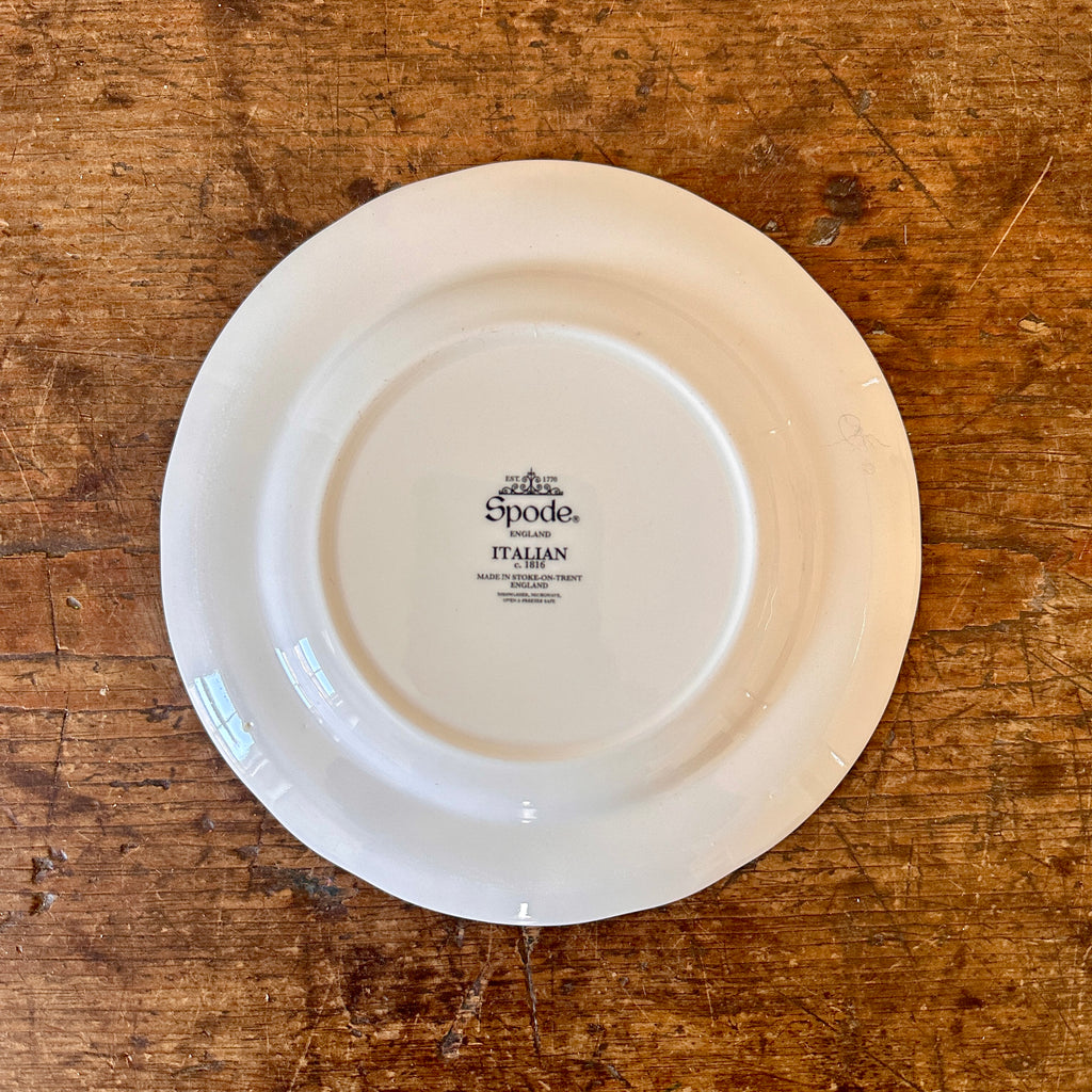 Green Italian Salad Plate