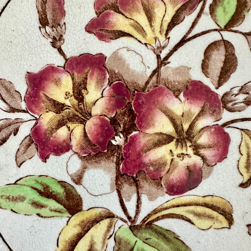 English Transferware Tile